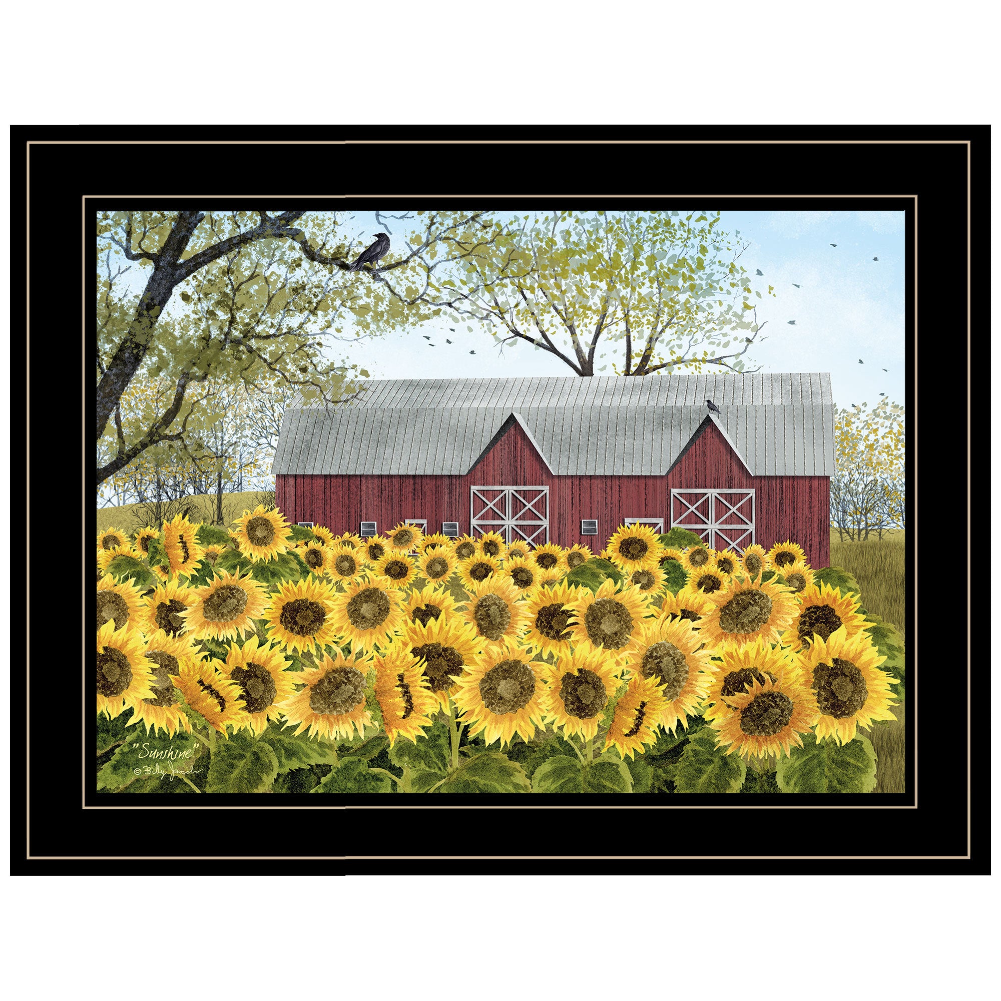 'Sunshine' by Billy Jacobs, Ready to Hang Framed Print, Black Frame