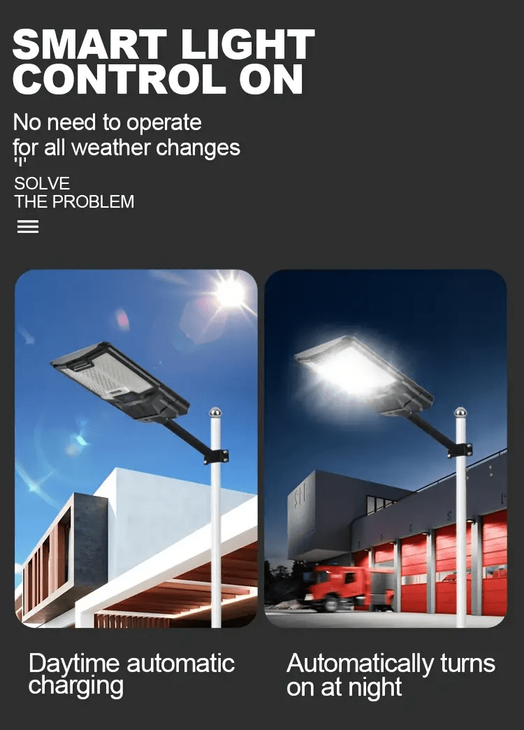 21765944