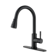 Kitchen Faucet with Pull Out Spraye