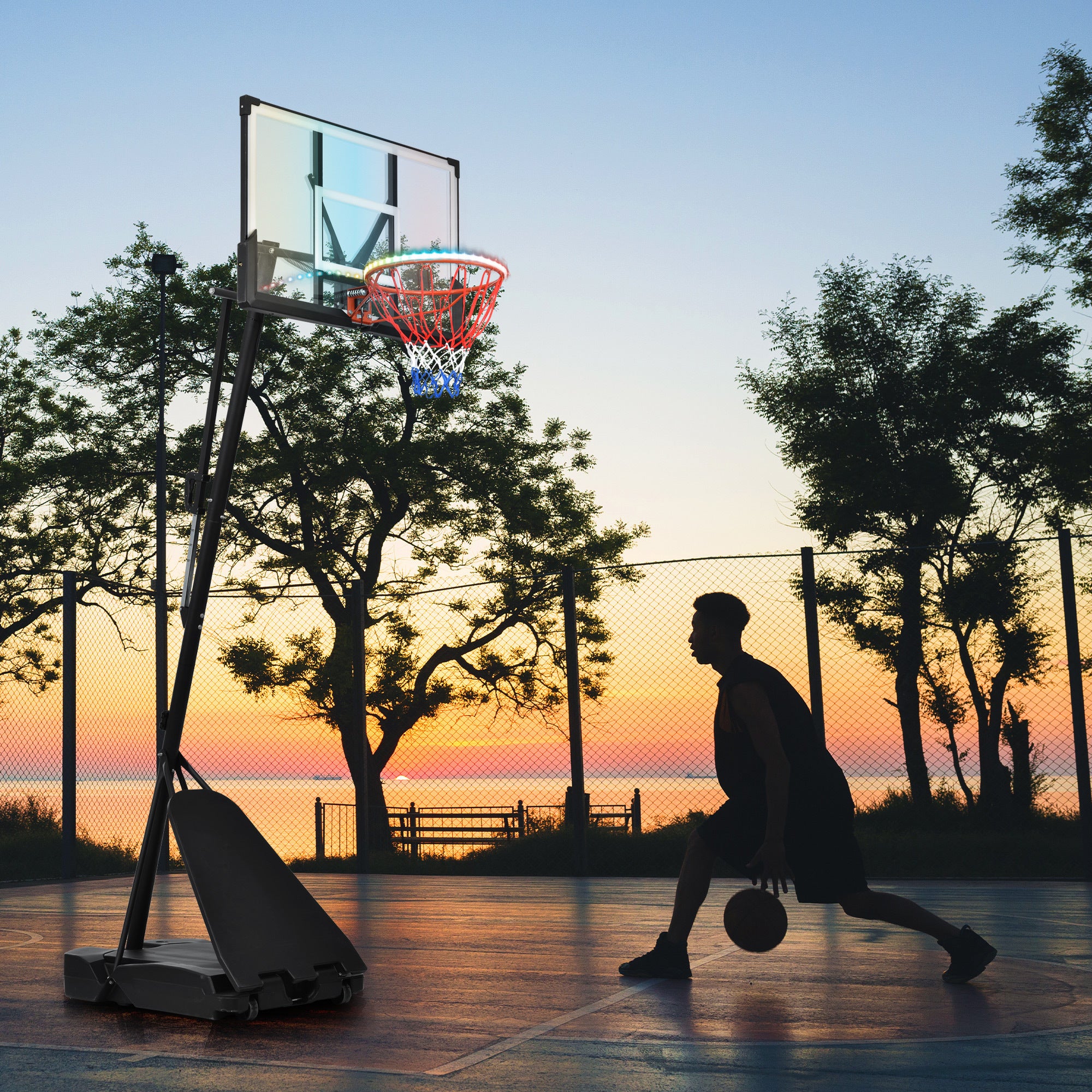 Basketball Hoops