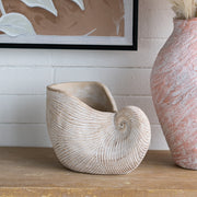 11.5x6.7x7.7' Sand and Cement Nautilus Shell Planter with Textured Beige Finish