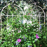 2 Pack Metal Garden Trellis 71' x 19.7' Rustproof Trellis for Climbing Plants Outdoor Flower Support Cream White