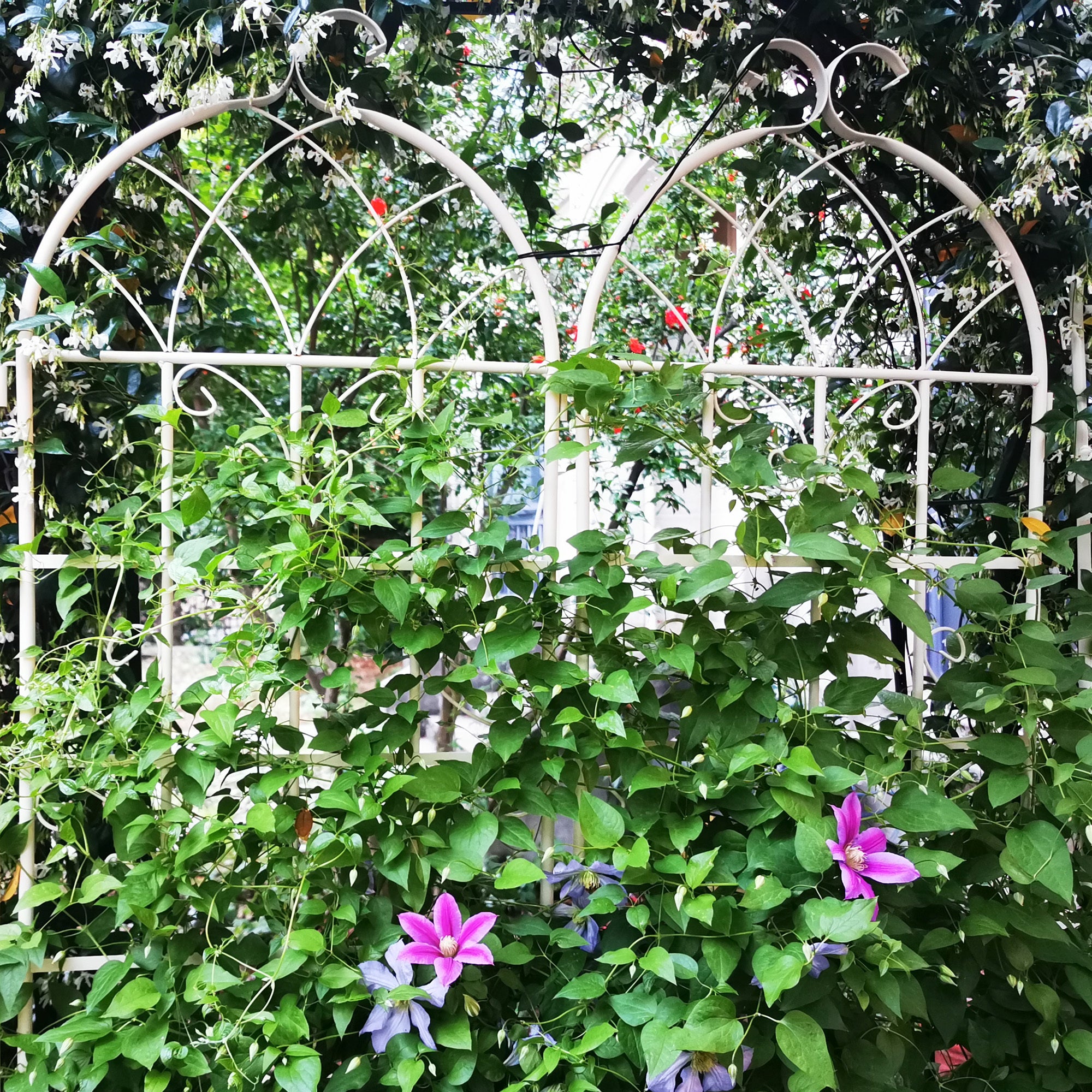 2 Pack Metal Garden Trellis 71' x 19.7' Rustproof Trellis for Climbing Plants Outdoor Flower Support Cream White