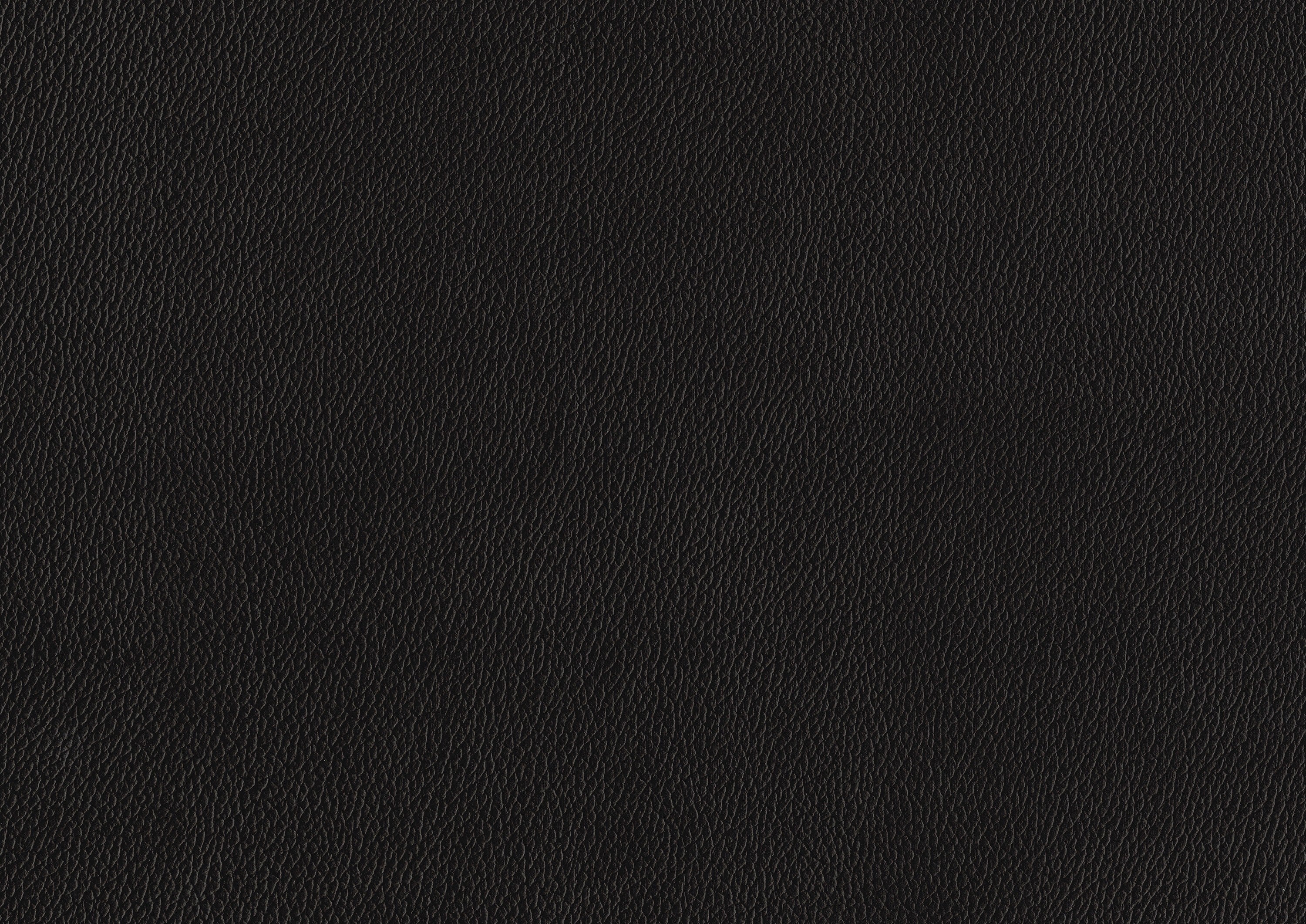 22119029