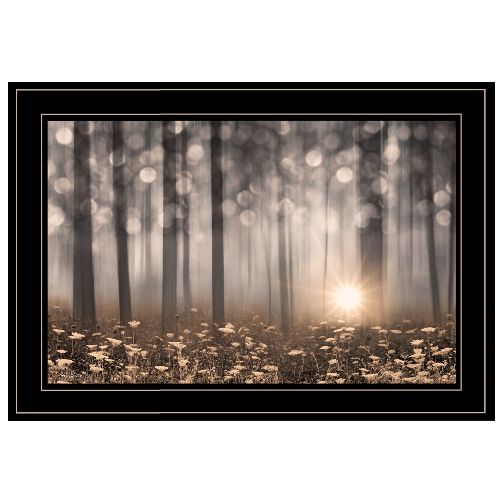 'Enchanted Morning' by Lori Deiter, Ready to Hang Framed Print, Black Frame
