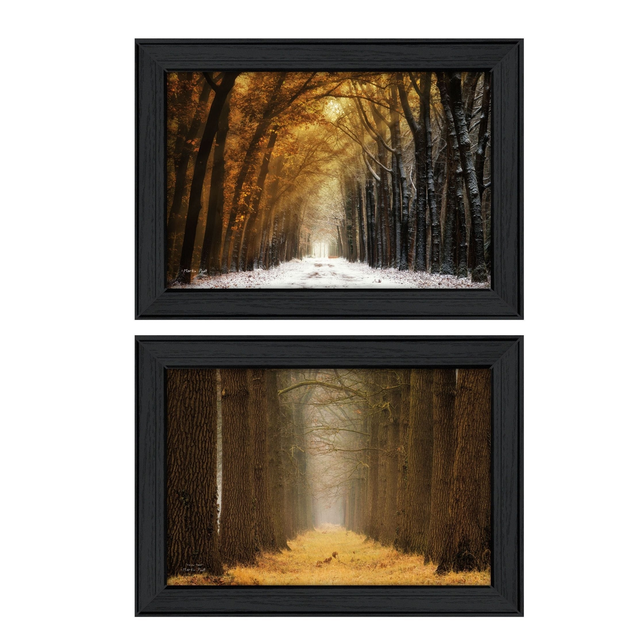 'Golden Forest Path Collection' 2-Piece Vignette By Martin Podt, Printed Wall Art, Ready To Hang Framed Poster, Black Frame
