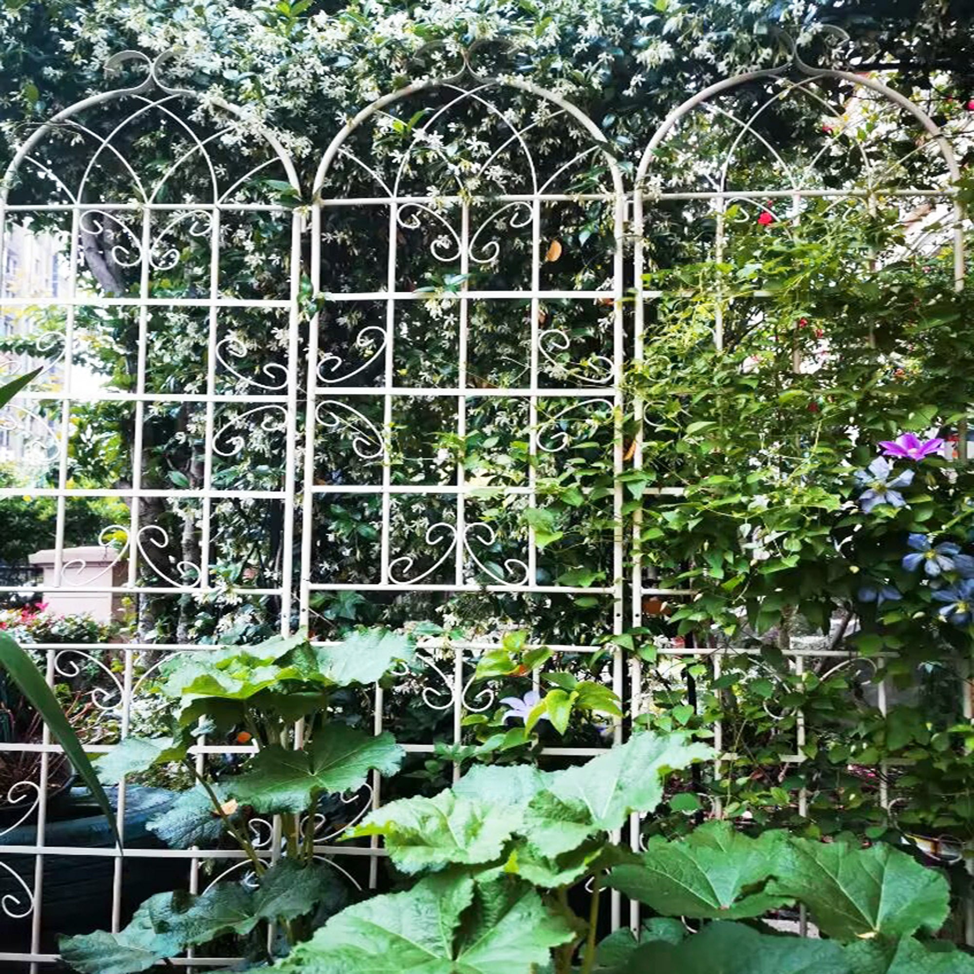 2 Pack Metal Garden Trellis 86.7' x 19.7' Rustproof Trellis for Climbing Plants Outdoor Flower Support Cream White