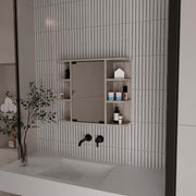 Roseburg 6-Shelf Medicine Cabinet with Mirorr Light Grey