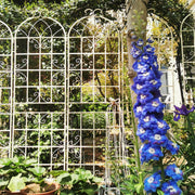 4 Pack Metal Garden Trellis 86.7' x 19.7' Rustproof Trellis for Climbing Plants Outdoor Flower Support Cream White