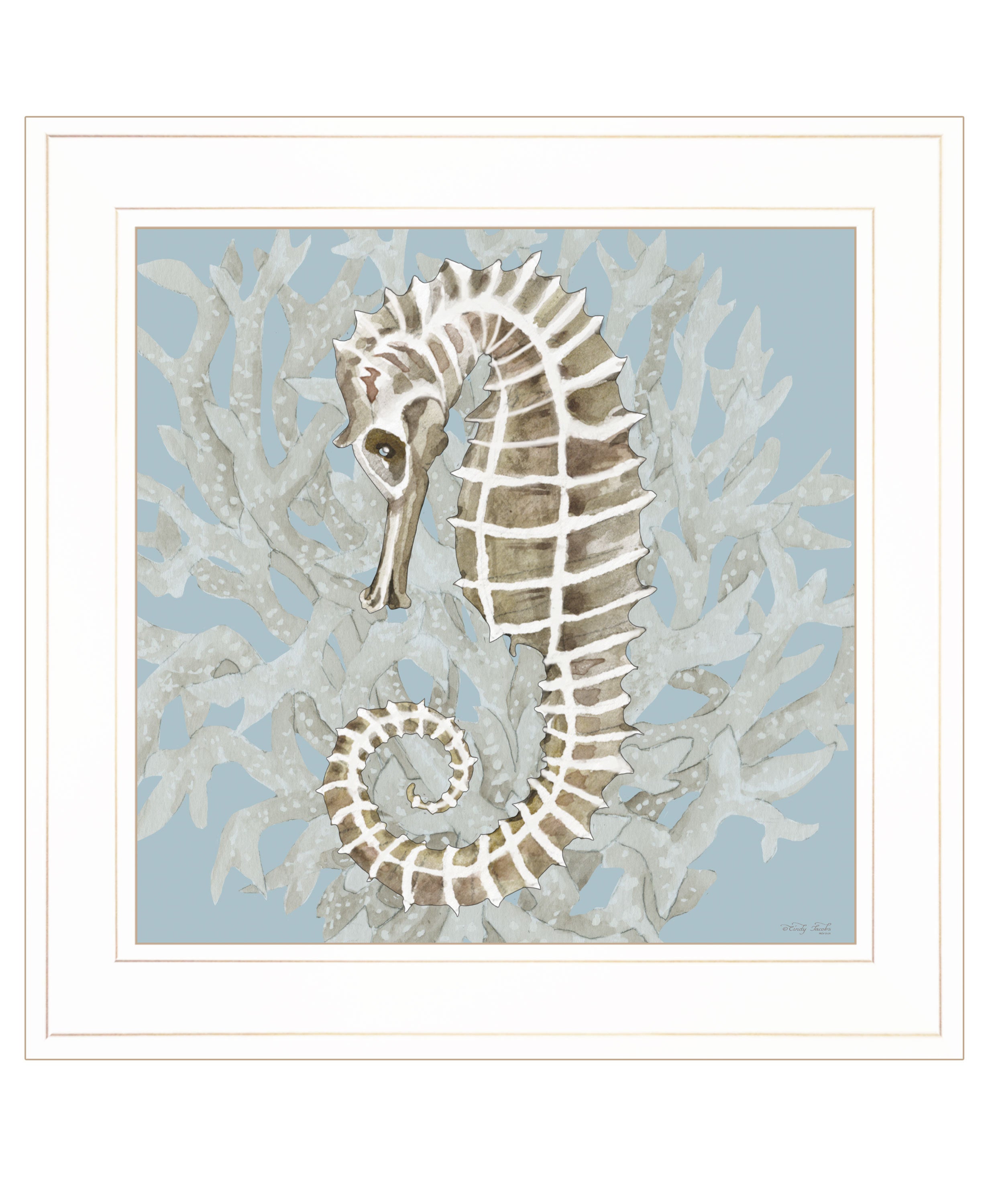 'Coral Seahorse II' by Cindy Jacobs, Ready to Hang Framed Print, White Frame