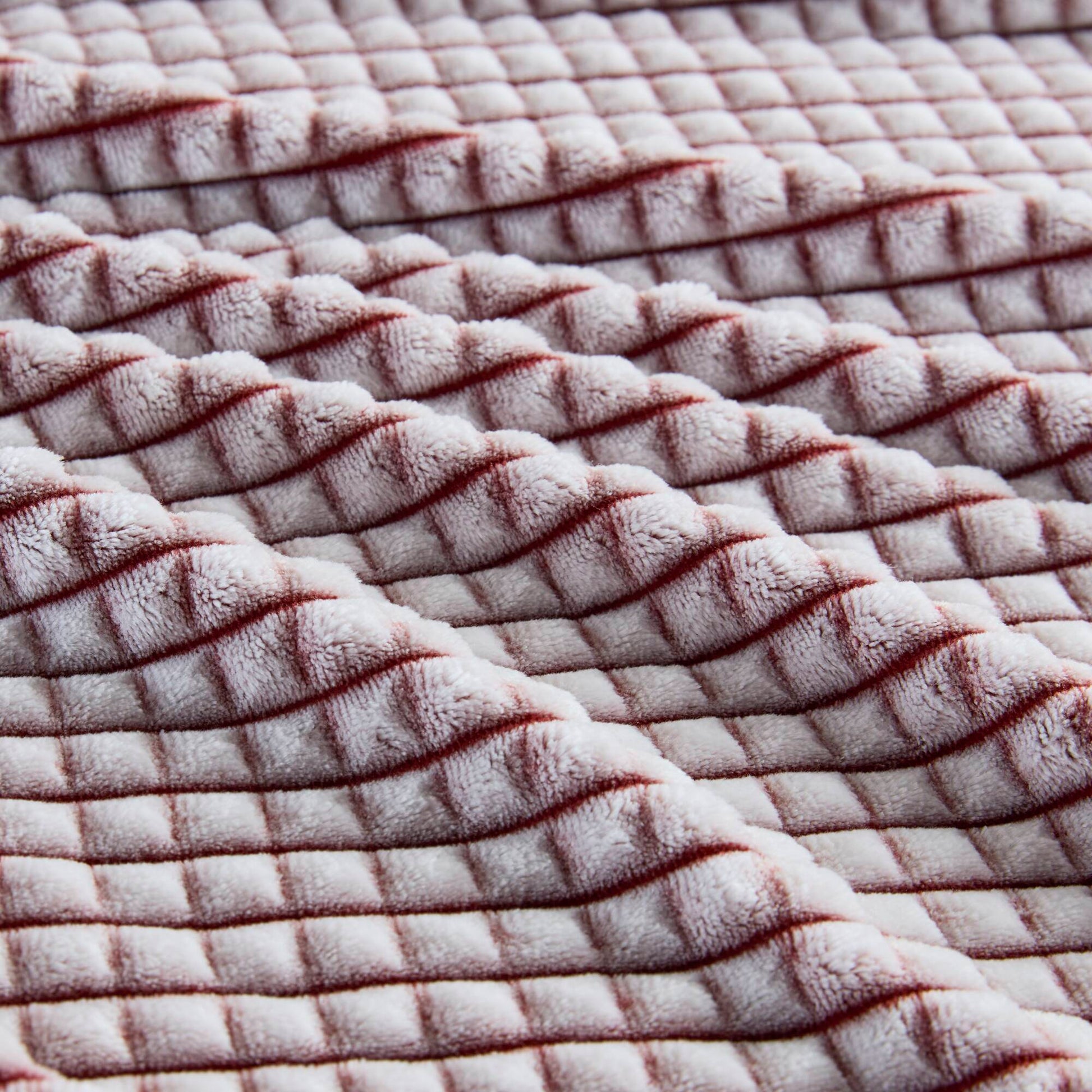 21901061
