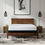 Copper Infused 14 Inch Plush Memory Foam Queen Mattress