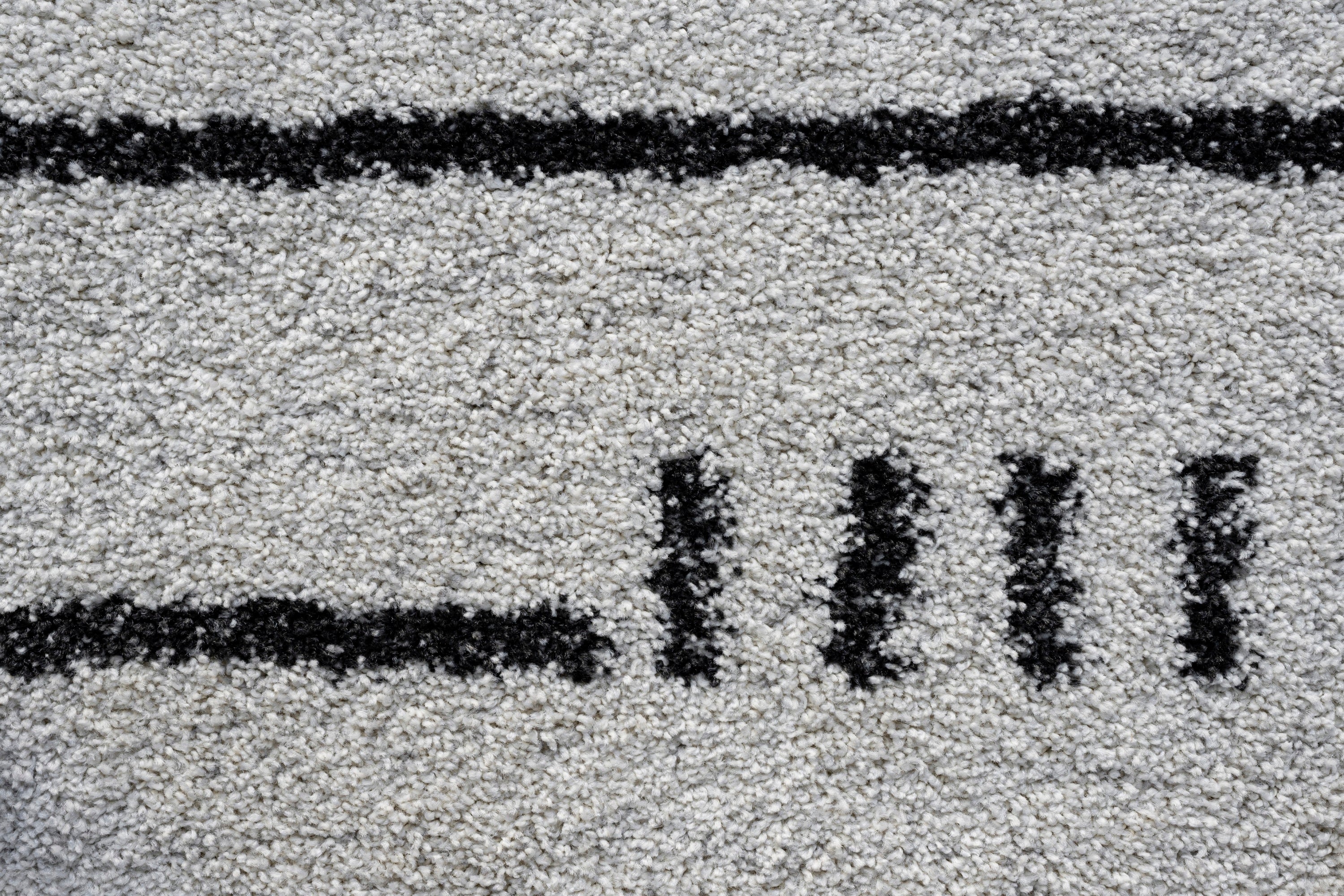 Kyrie Black, Charcoal, Ivory and White Polypropylene Area Rug