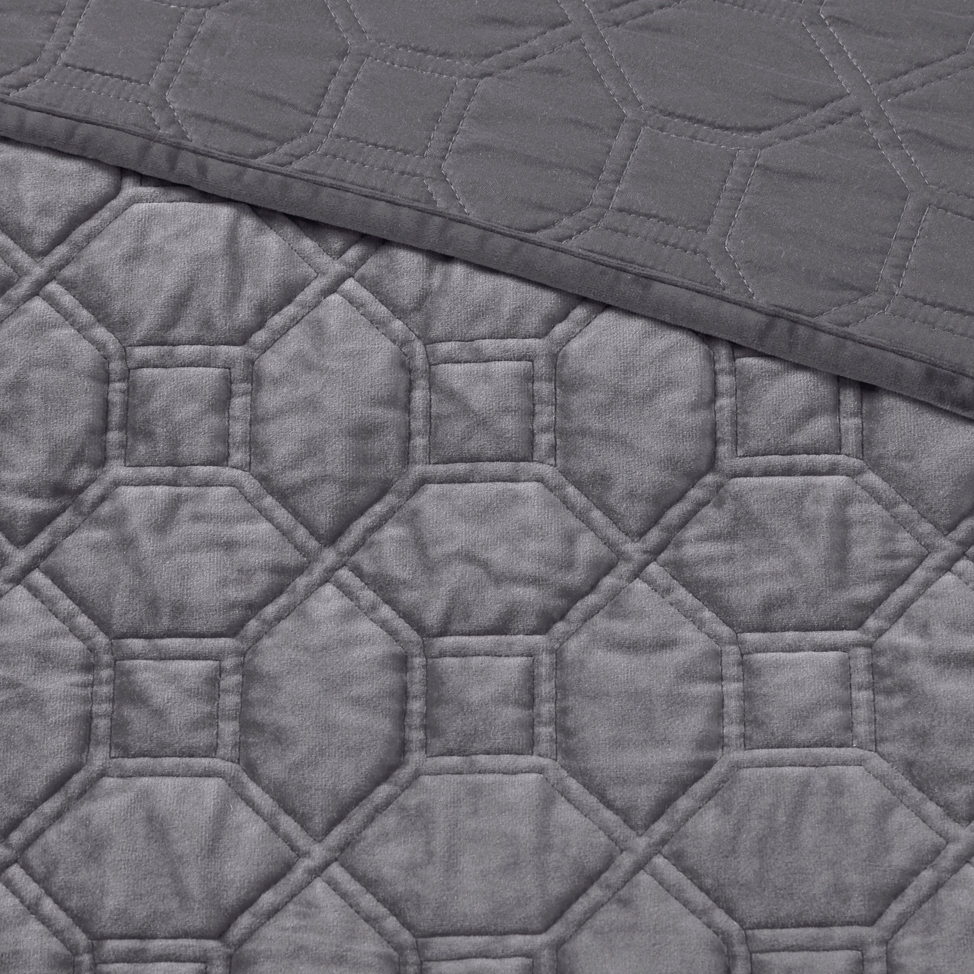21898262