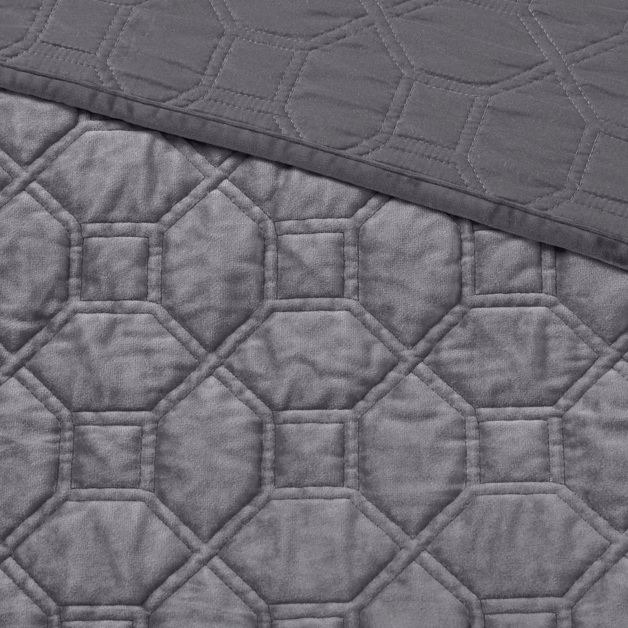 21898262