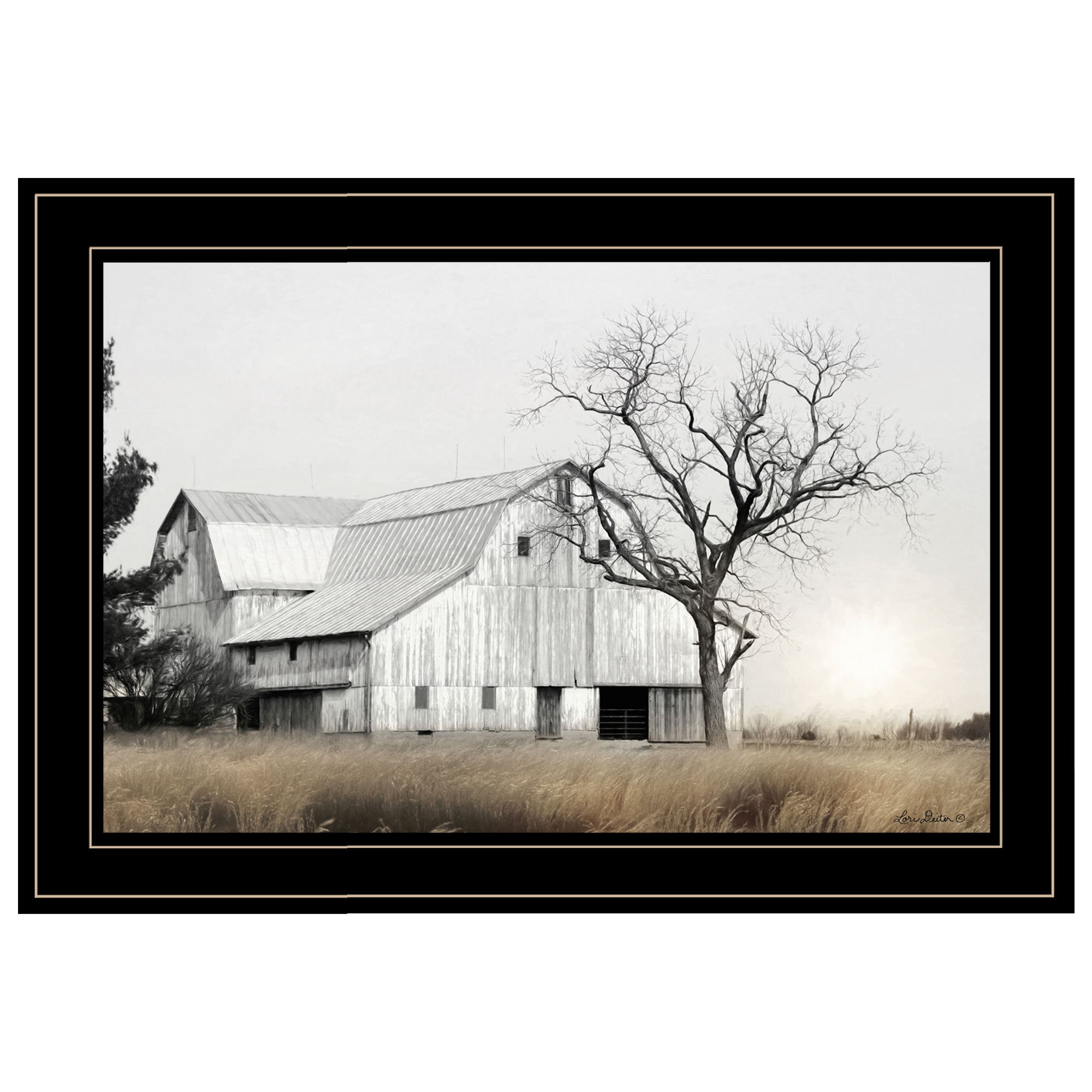 'Ohio Fields I' by Lori Deiter, Ready to Hang Framed Print, Black Frame