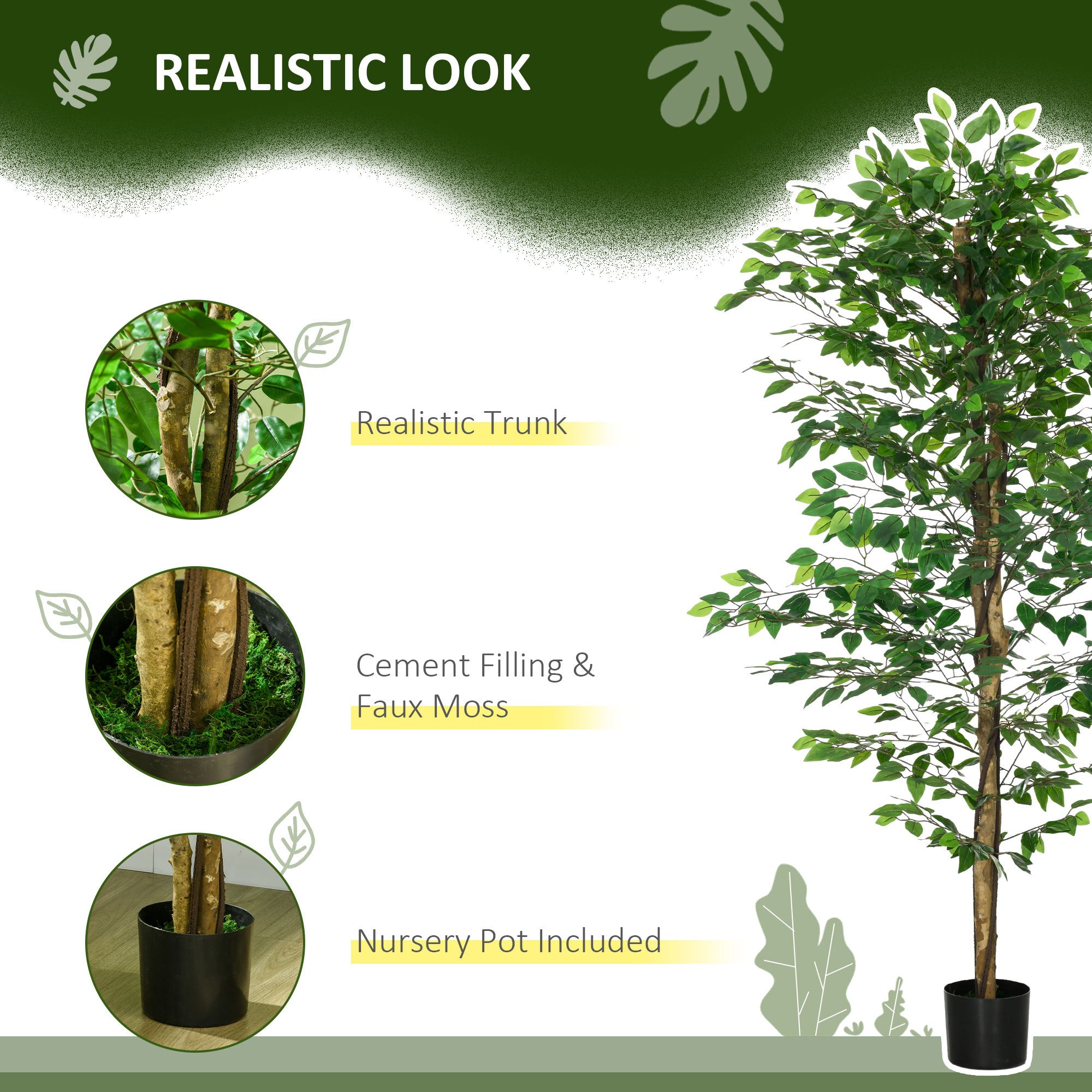 21851666