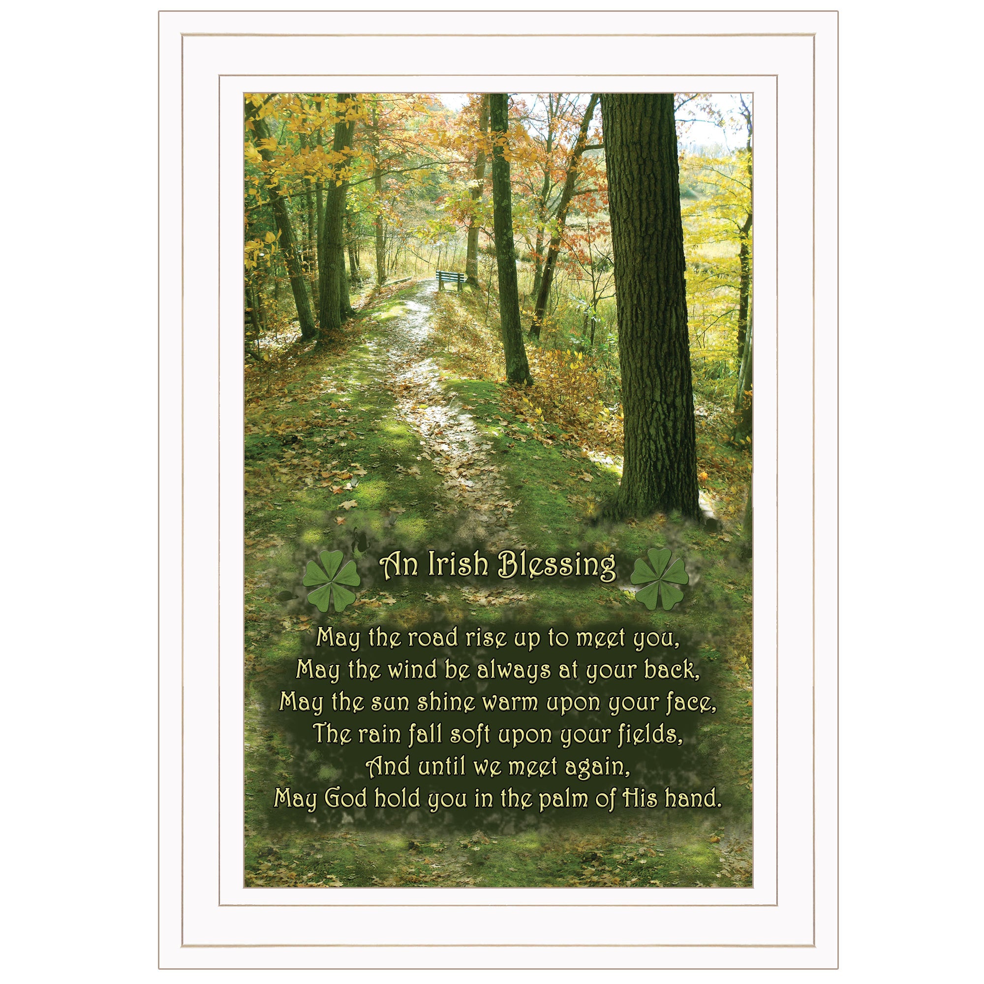 'Irish Blessing' By Trendy Decor 4U, Ready to Hang Framed Print, White Frame