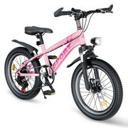 FKZNPJ 20 Inch Kids Mountain Bike for Boys & Girls Ages 7-12 – 7-Speed Gears, Dual Disc Brakes, Shock Absorber Front Fork, LED Light – Silver & Pink