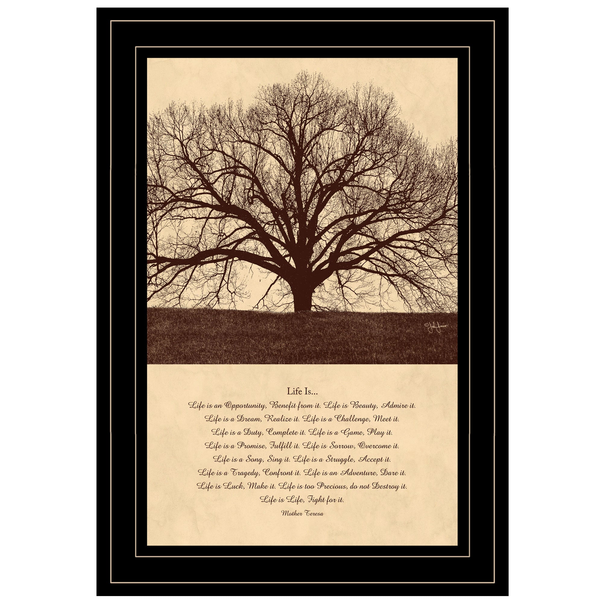 'Life Is' By John Jones, Ready to Hang Framed Print, Black Frame