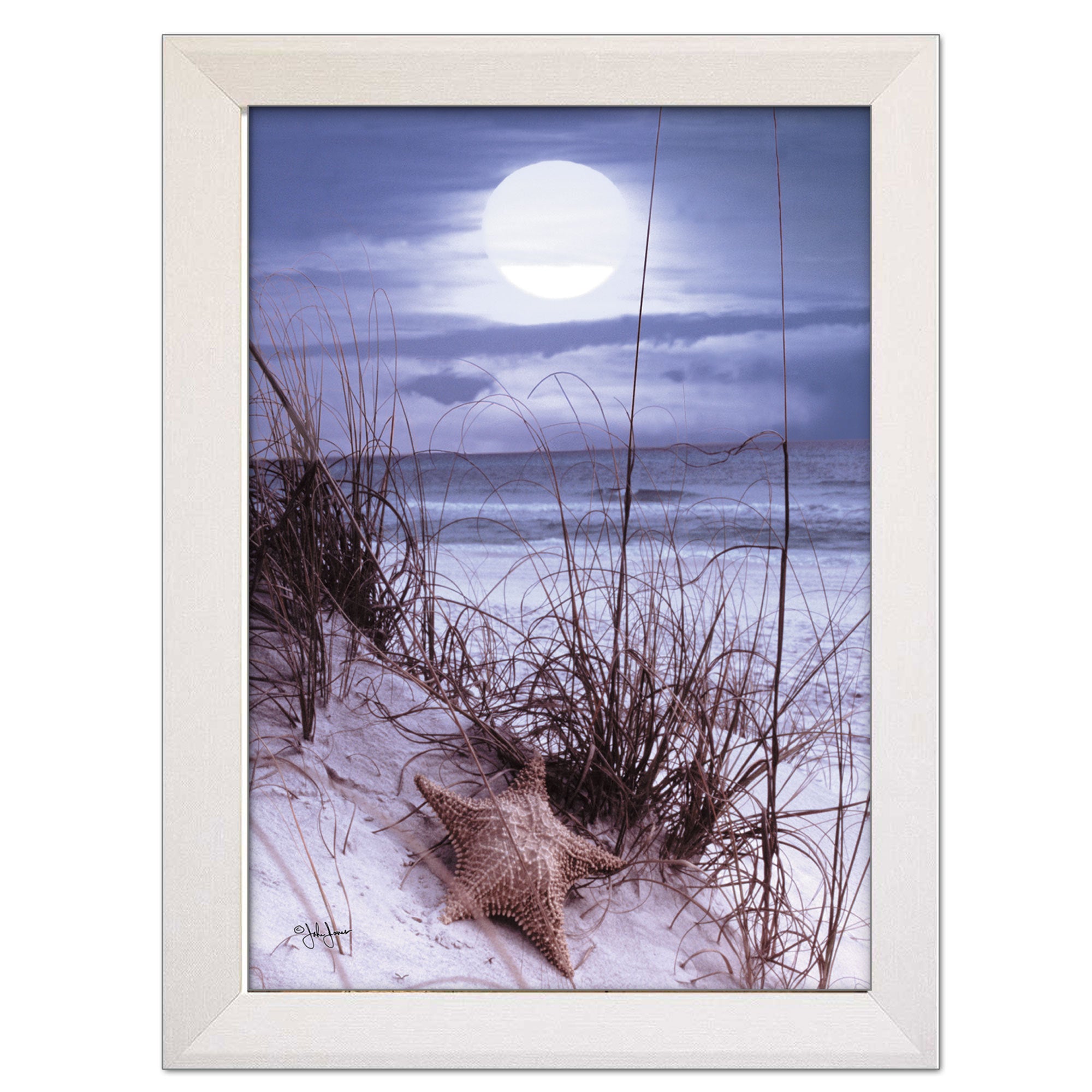 'The Seashore' By John Jones, Printed Wall Art, Ready To Hang Framed Poster, White Frame