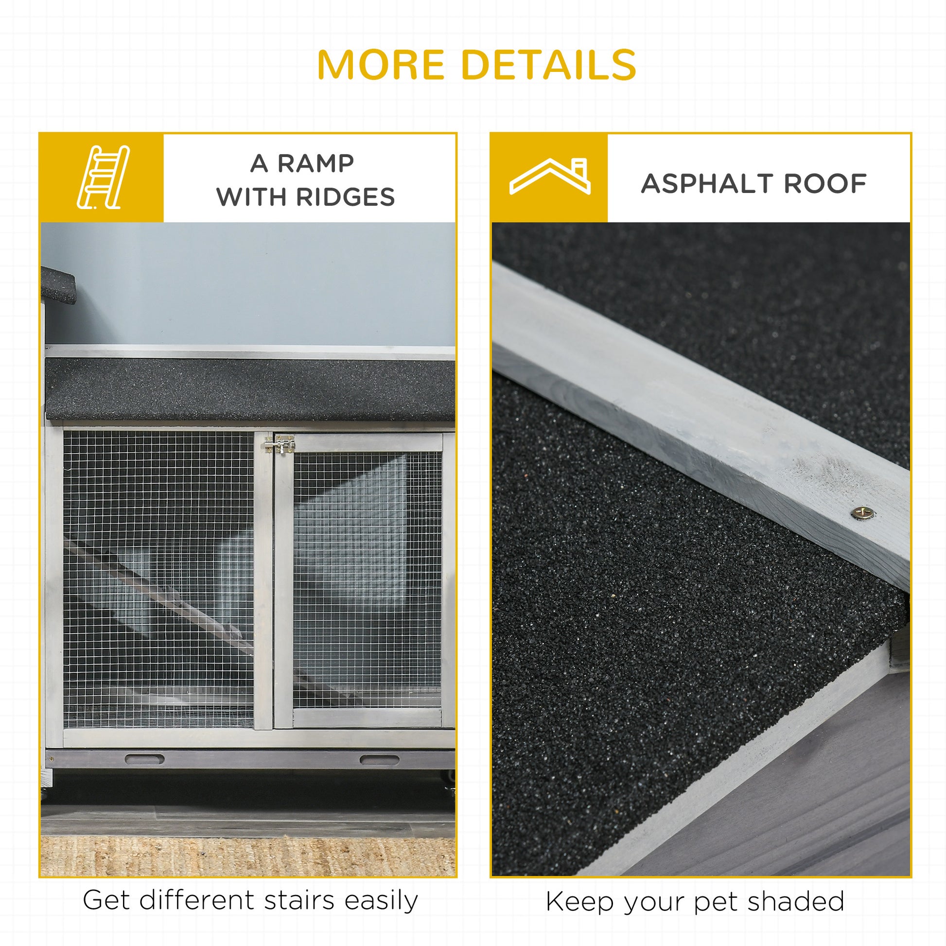 21669821