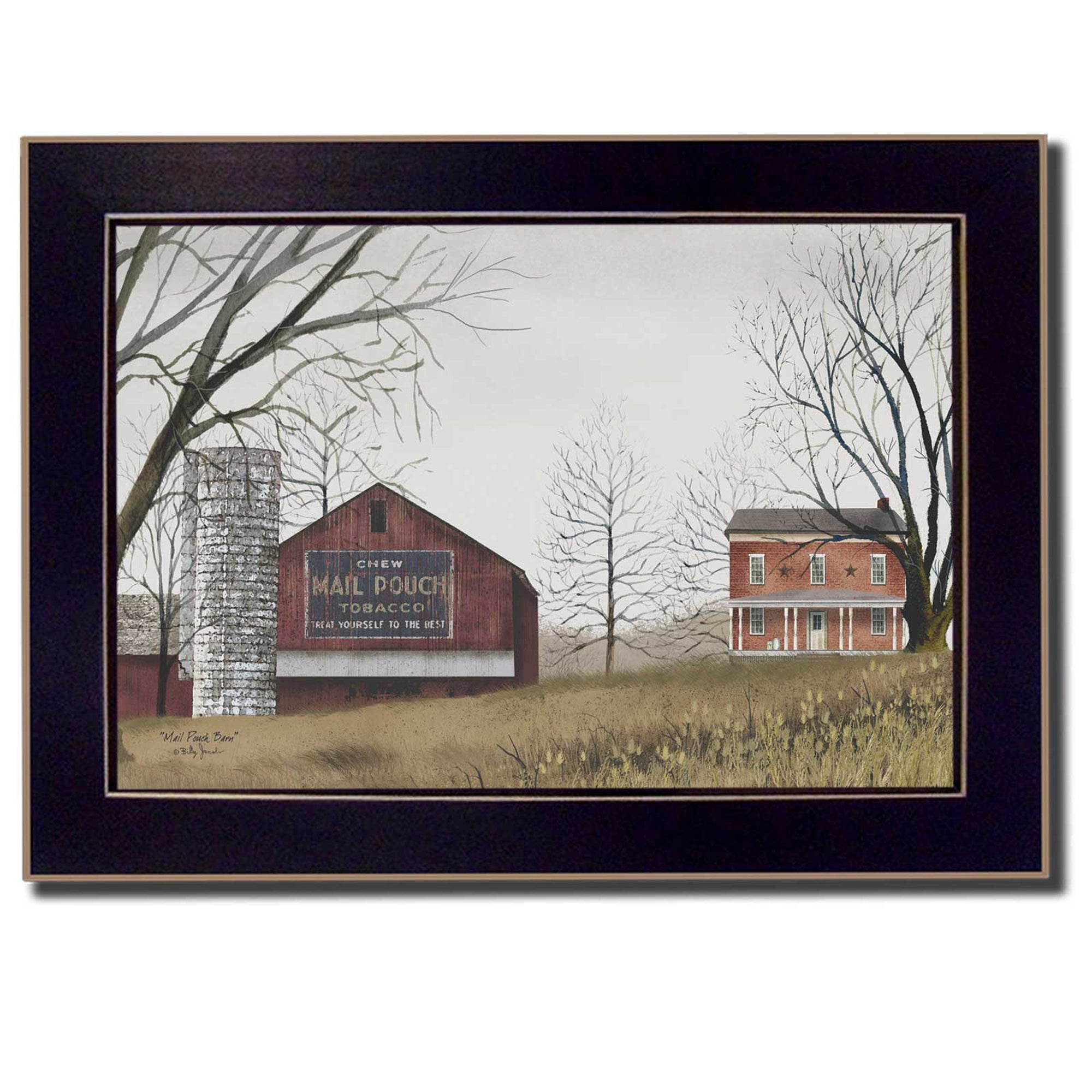 'Mail Pouch Barn' By Billy Jacobs, Printed Wall Art, Ready To Hang Framed Poster, Black Frame