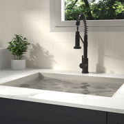 Bothwa Home CUPC Certified 19' Single Handle Kitchen Faucet (Matt Black Finish)