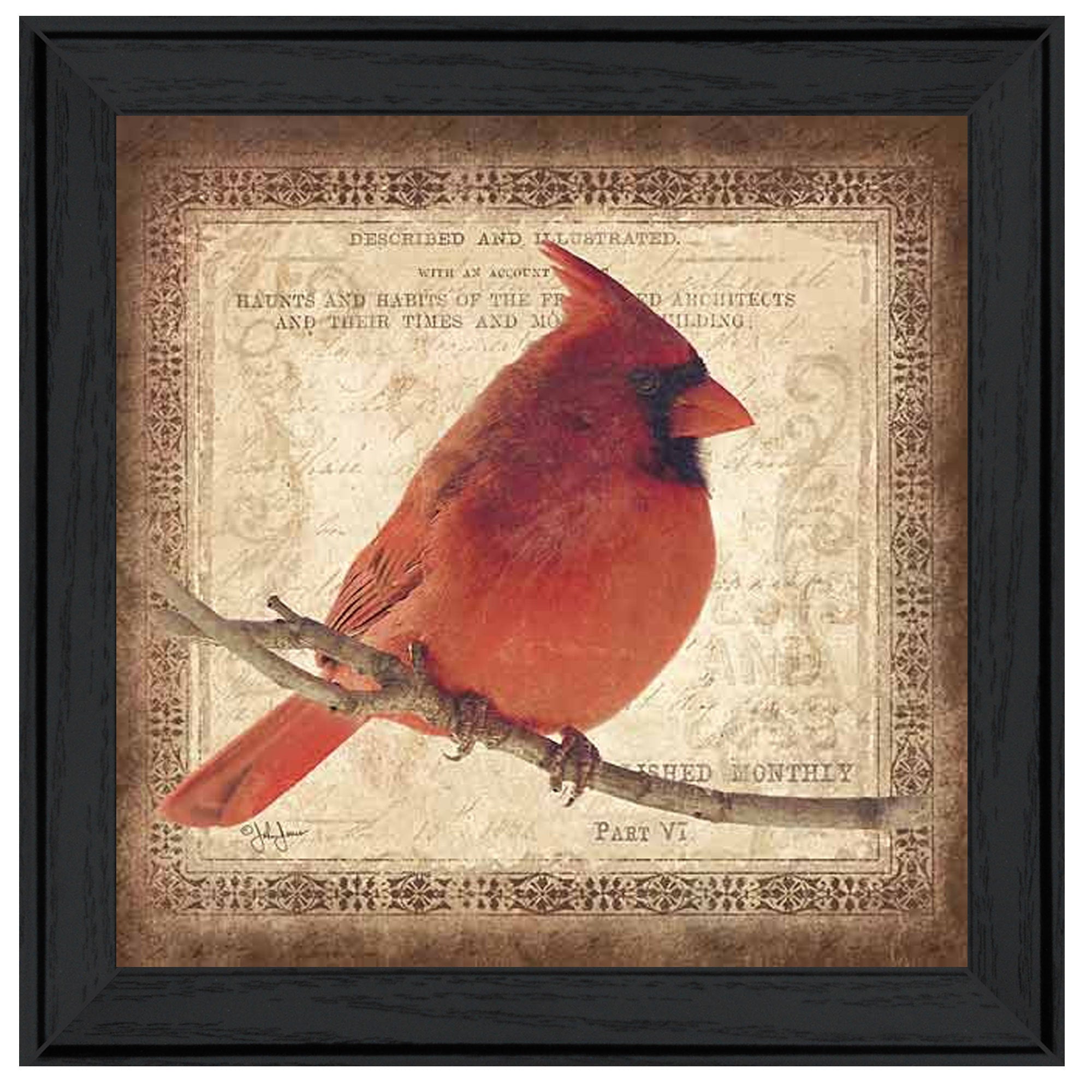 'Male Cardinal' by Artisan John Jones, Ready to Hang Framed Print, Black Frame